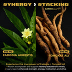 Earth Elixir Fadogia Agrestis Tongkat Ali Testosterone

