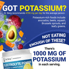 Dr. Berg Zero Sugar Hydration Electrolyte Powder | Potassium 1000 mg

