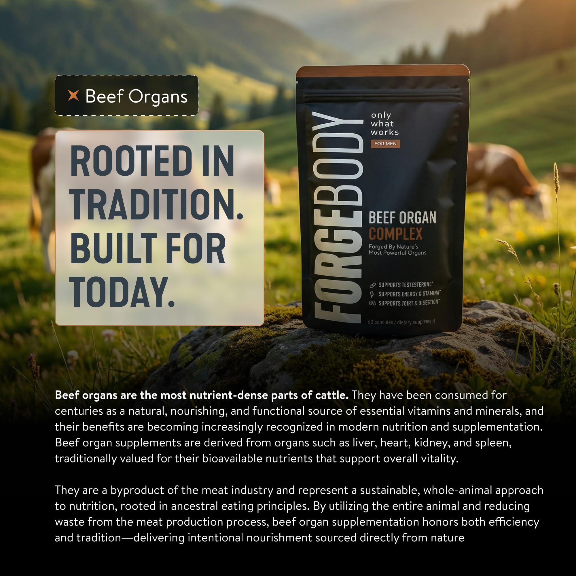 FORGEBODY Beef Organ Complex | Ancestral Nutrition

