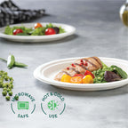 Compostable Heavy-Duty Paper Plates | Eco Dinnerware


