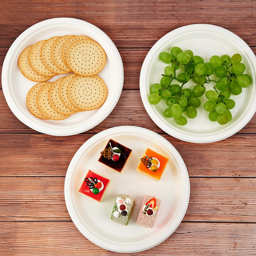 Vplus Compostable Disposable Dinner Plates

