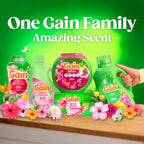 Gain Plus Flings Pods | All-in-One Laundry Detergent

