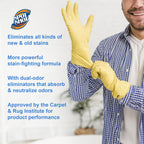 Spot Shot Instant Carpet Stain Remover Aerosol

