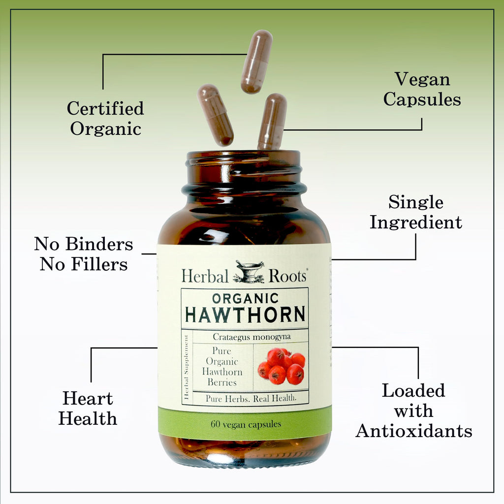 Hawthorn Berry Capsules | Herbal Roots Organic Heart Support

