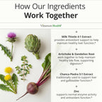 Liver Support Detox & Repair – Milk Thistle & Zinc

