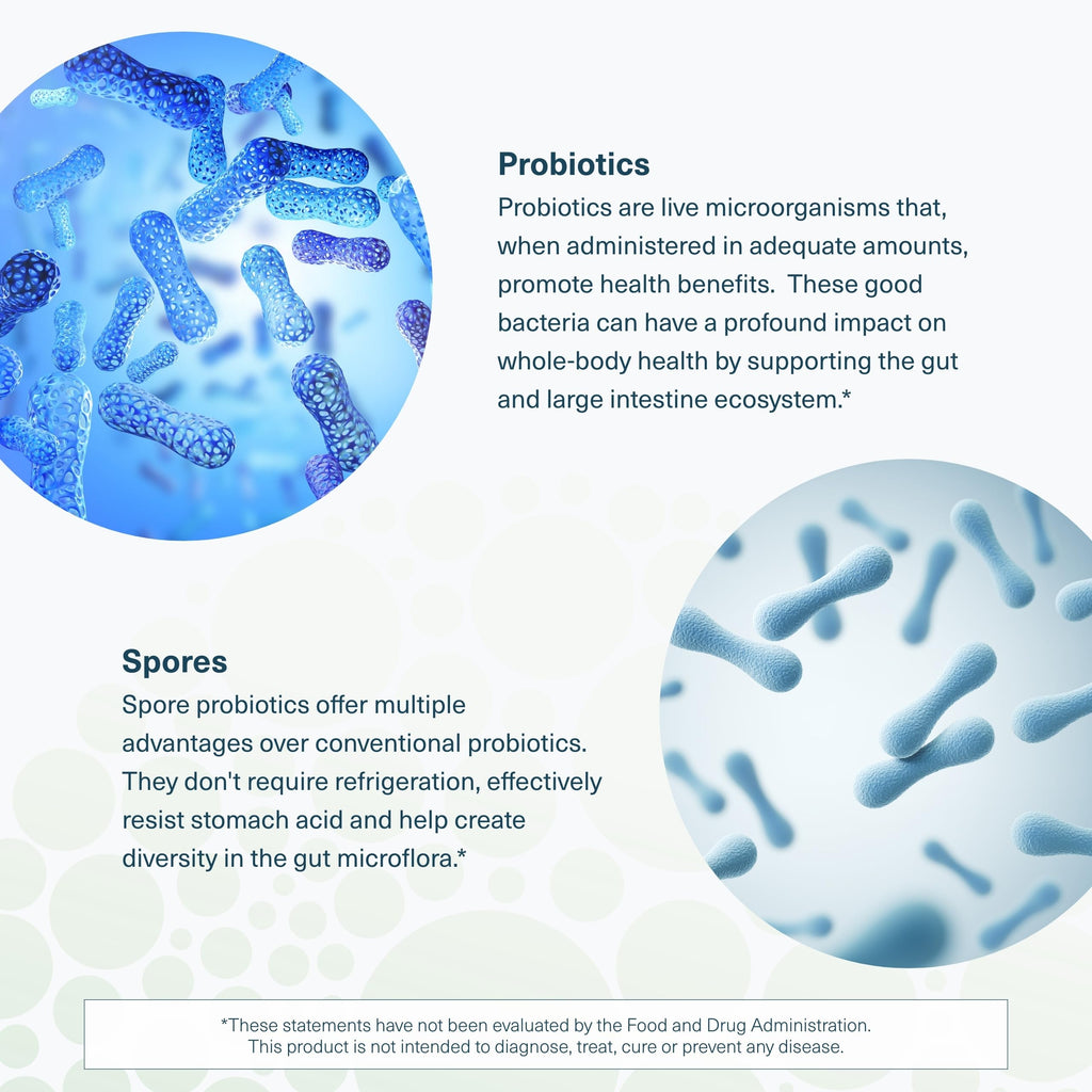 Youtheory Spore Probiotic for Gut Health with Prebiotics

