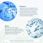 Youtheory Spore Probiotic for Gut Health with Prebiotics

