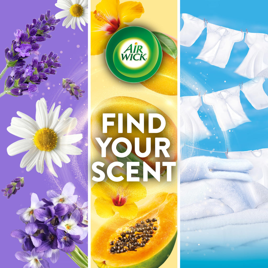 Air Wick Plug-In Scented Oil Refills | Universal Fragrance

