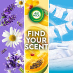 Air Wick Plug-In Scented Oil Refills | Universal Fragrance

