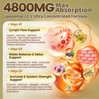 Vivonu Liposome Lymphatic Drainage Supplement

