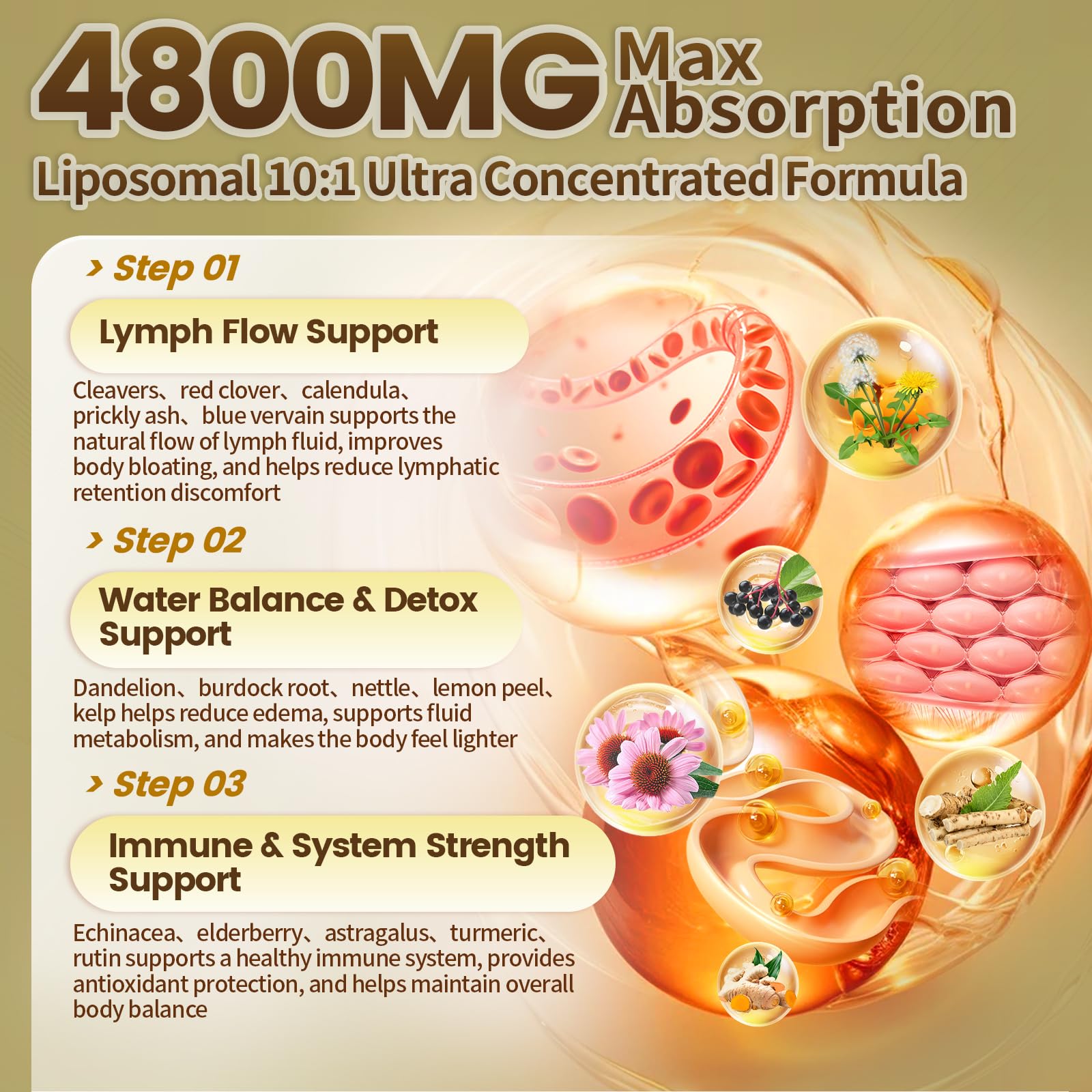 Vivonu Liposome Lymphatic Drainage Supplement

