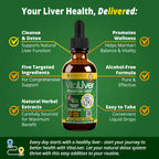 Rejuvica VitaLiver Liver Detox Drops | Alcohol-Free Liquid

