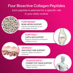 FORTIBONE Collagen Peptides for Bone Health Fortigel Verisol


