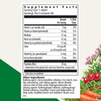Floradix Iron Tablets - Iron Supplement with B Vitamins

