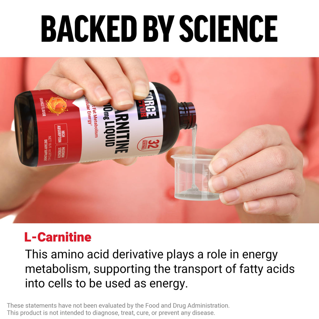 Force Factor L-Carnitine Liquid 3000mg | Fat Metabolism Support

