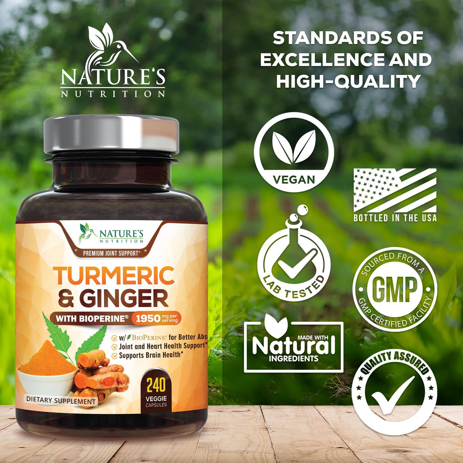 Turmeric Curcumin Supplement with Ginger & BioPerine

