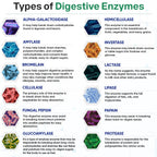 Wholesome Wellness Digestive Enzymes with Probiotics

