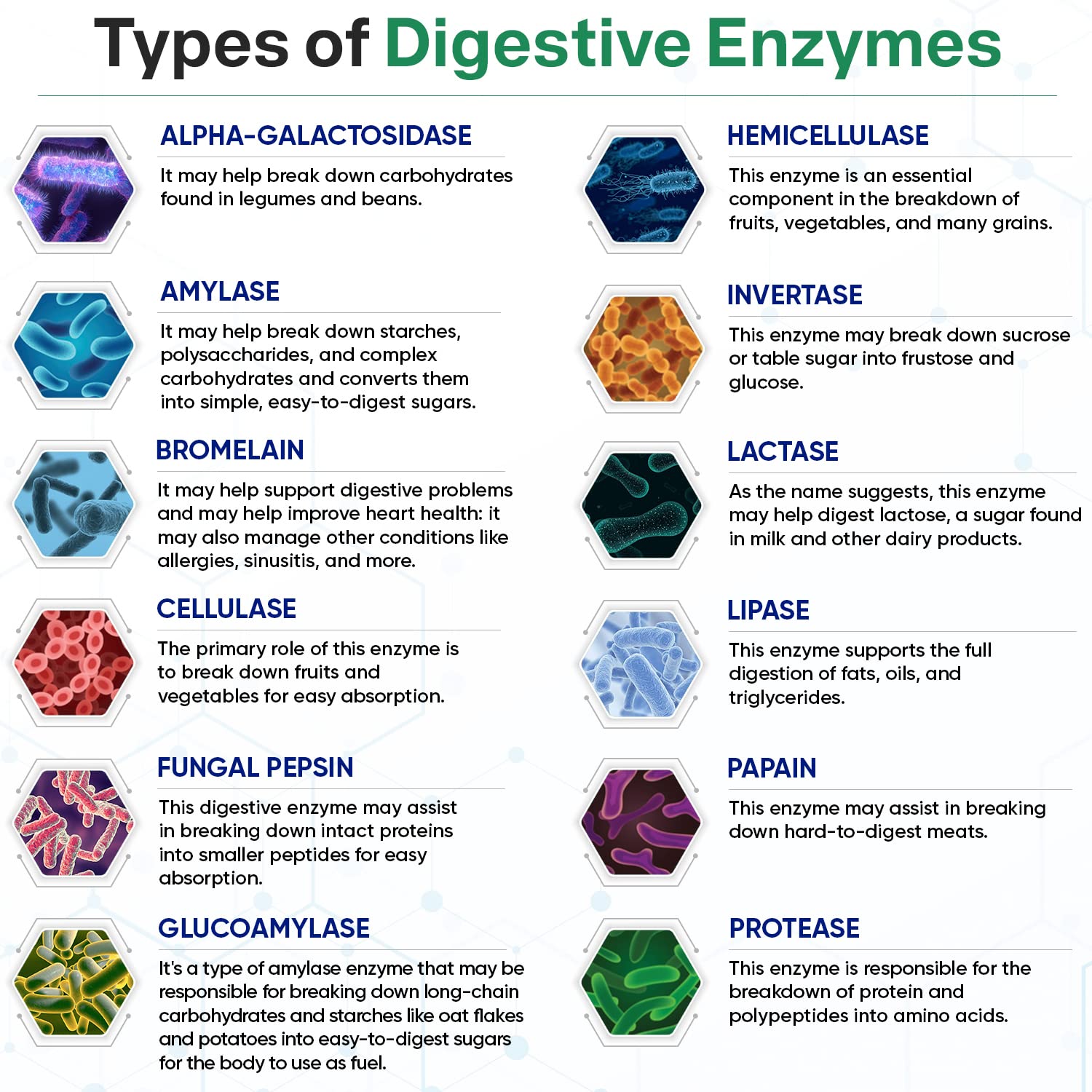 Wholesome Wellness Digestive Enzymes with Probiotics

