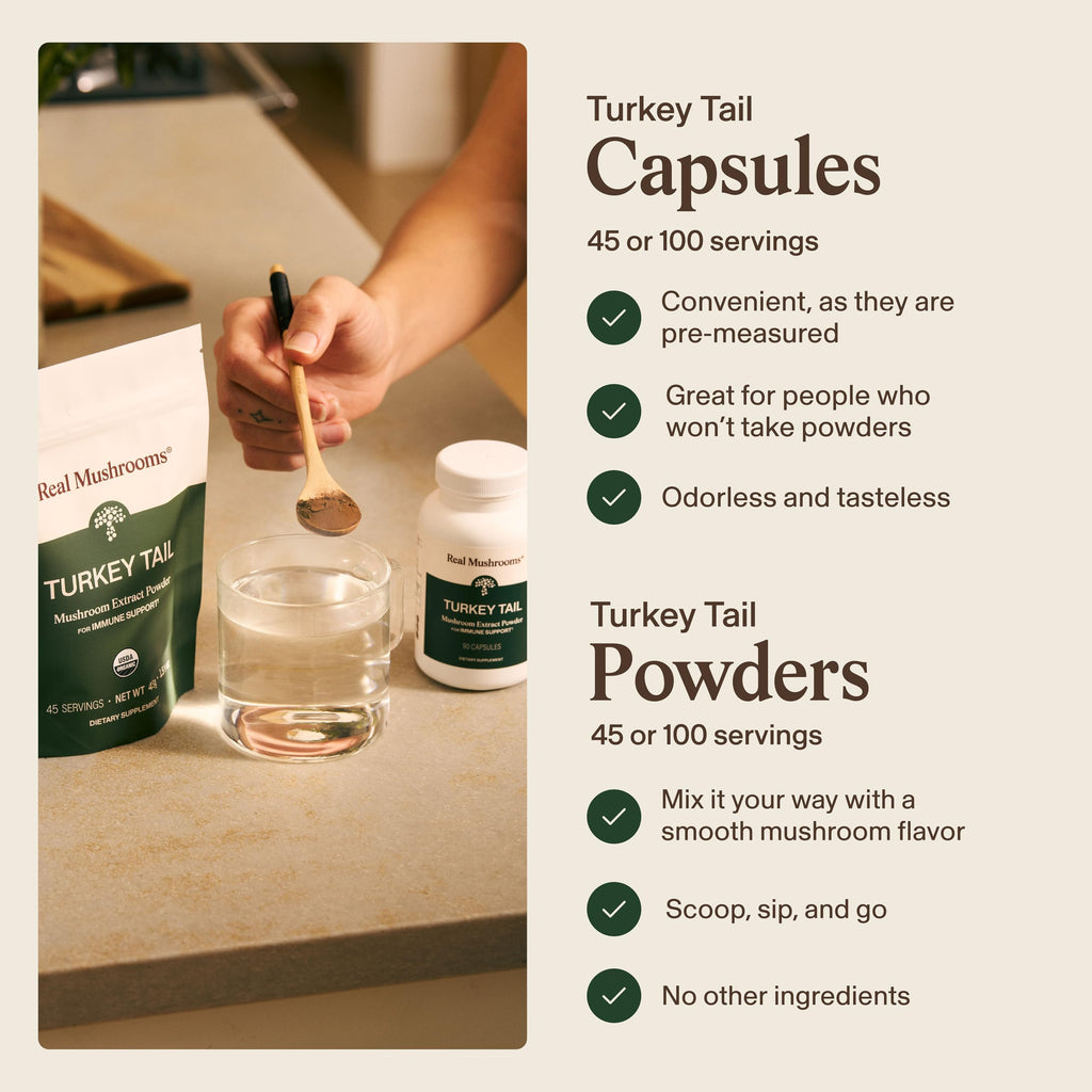Real Mushrooms Turkey Tail Capsules – Organic Extract


