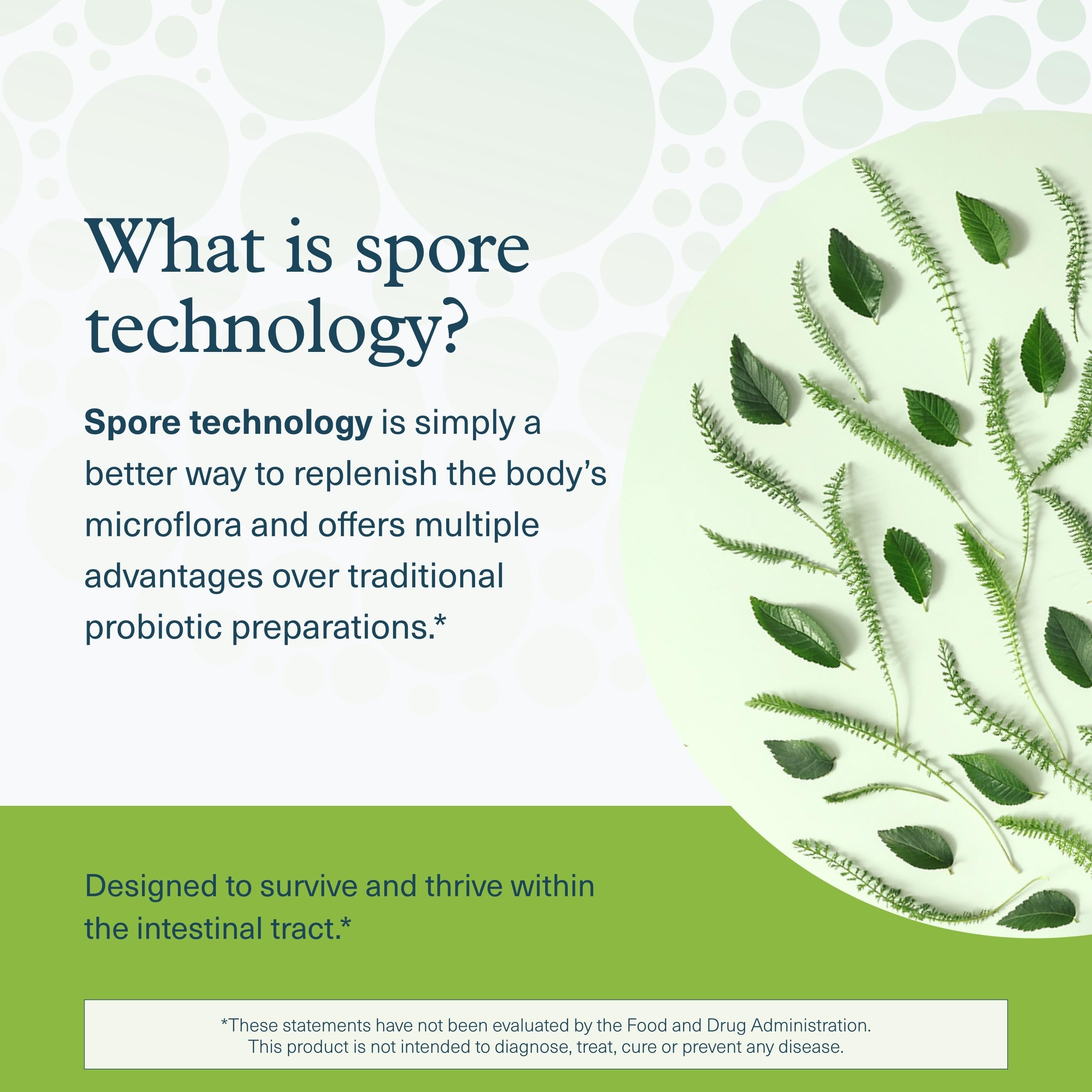 Youtheory Spore Probiotic for Gut Health with Prebiotics


