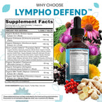 Lymphatic Drainage Drops | Clean Nutra Liquid Lymph Support

