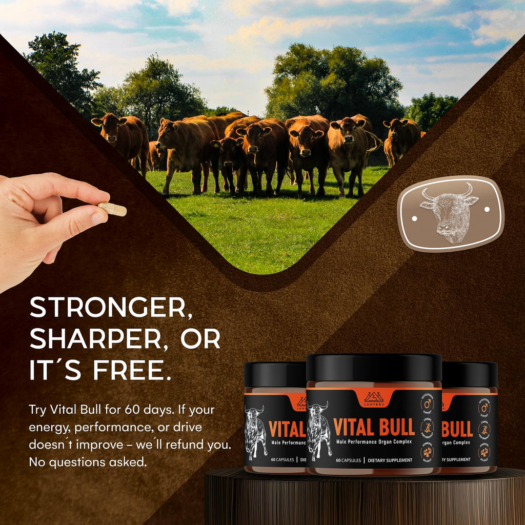 Vital Bull Beef Organ Supplement for Men | Freeze-Dried

