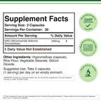 Double Wood Supplement | Anti-Aging and Cellular Regeneration

