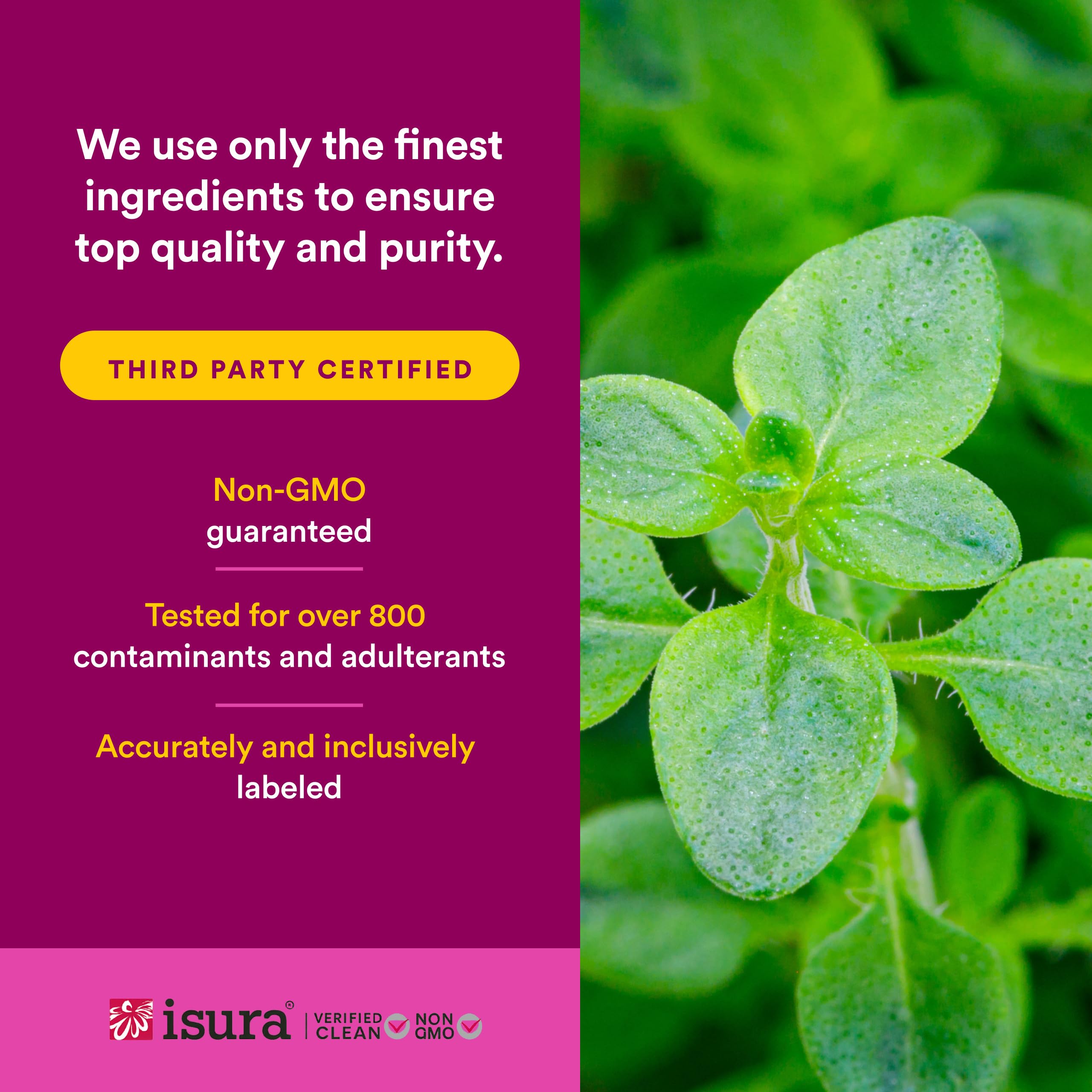 Natural Factors Oil of Oregano Liquid for Immune Support

