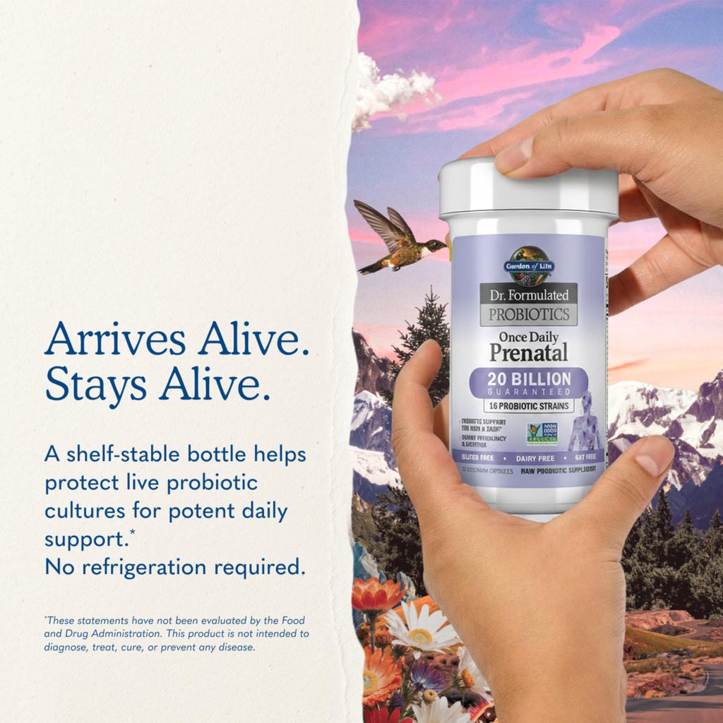 Garden of Life Dr Formulated Prenatal Probiotics Once Daily

