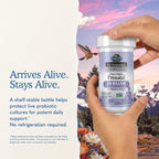 Garden of Life Dr Formulated Prenatal Probiotics Once Daily

