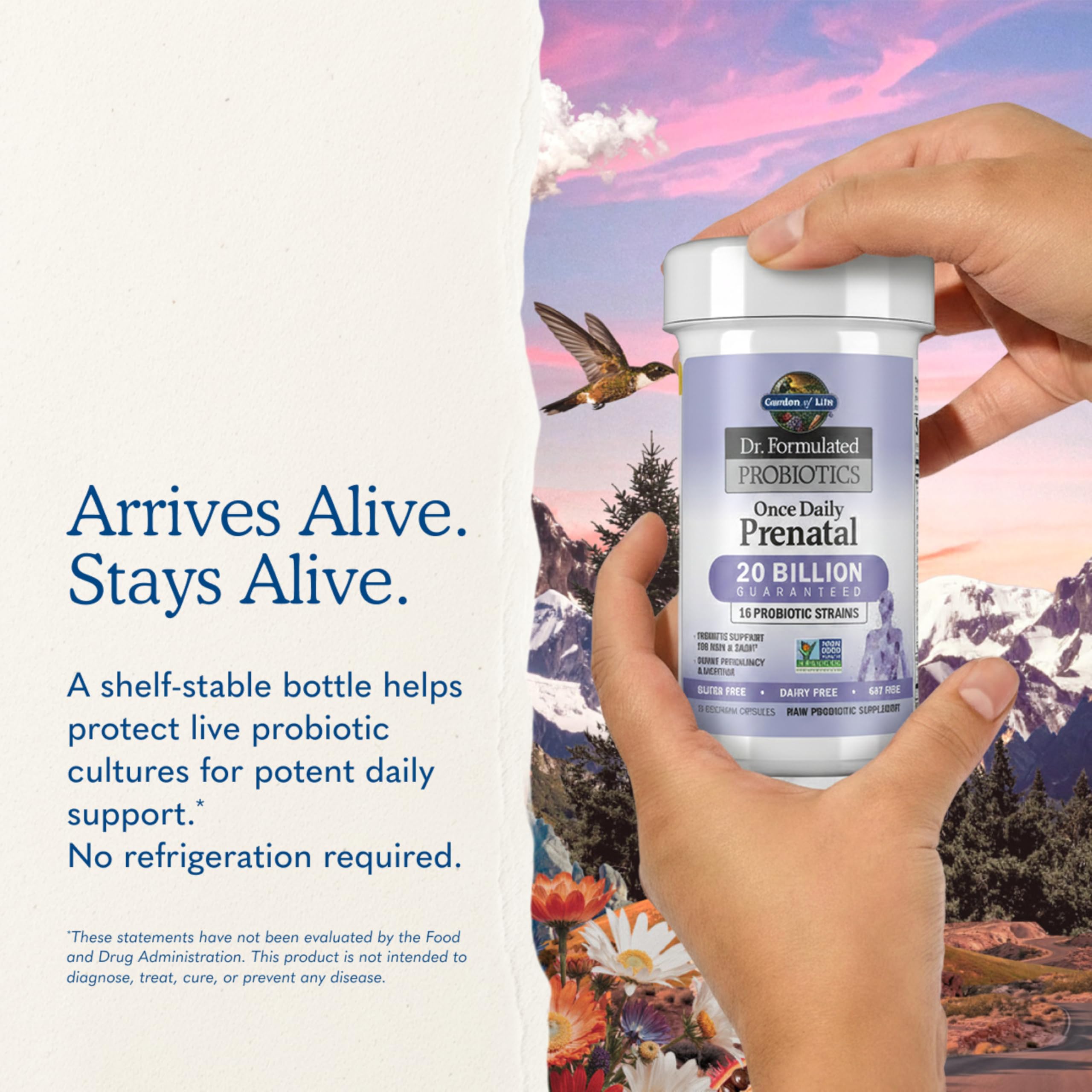 Garden of Life Dr Formulated Prenatal Probiotics Once Daily

