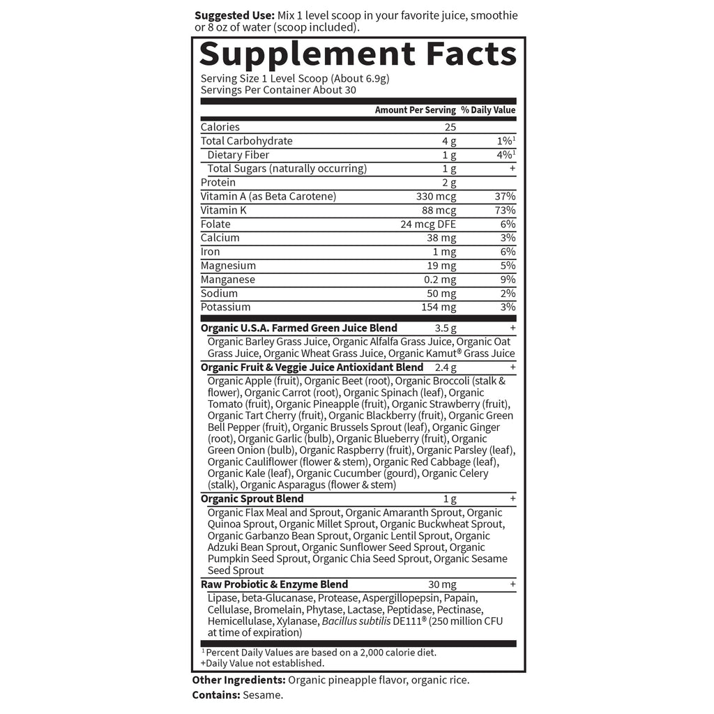 Garden of Life Raw Organic Perfect Food Greens Powder

