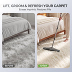 Walensee 2-in-1 Carpet Rake for Pet Hair Nylon & Rubber


