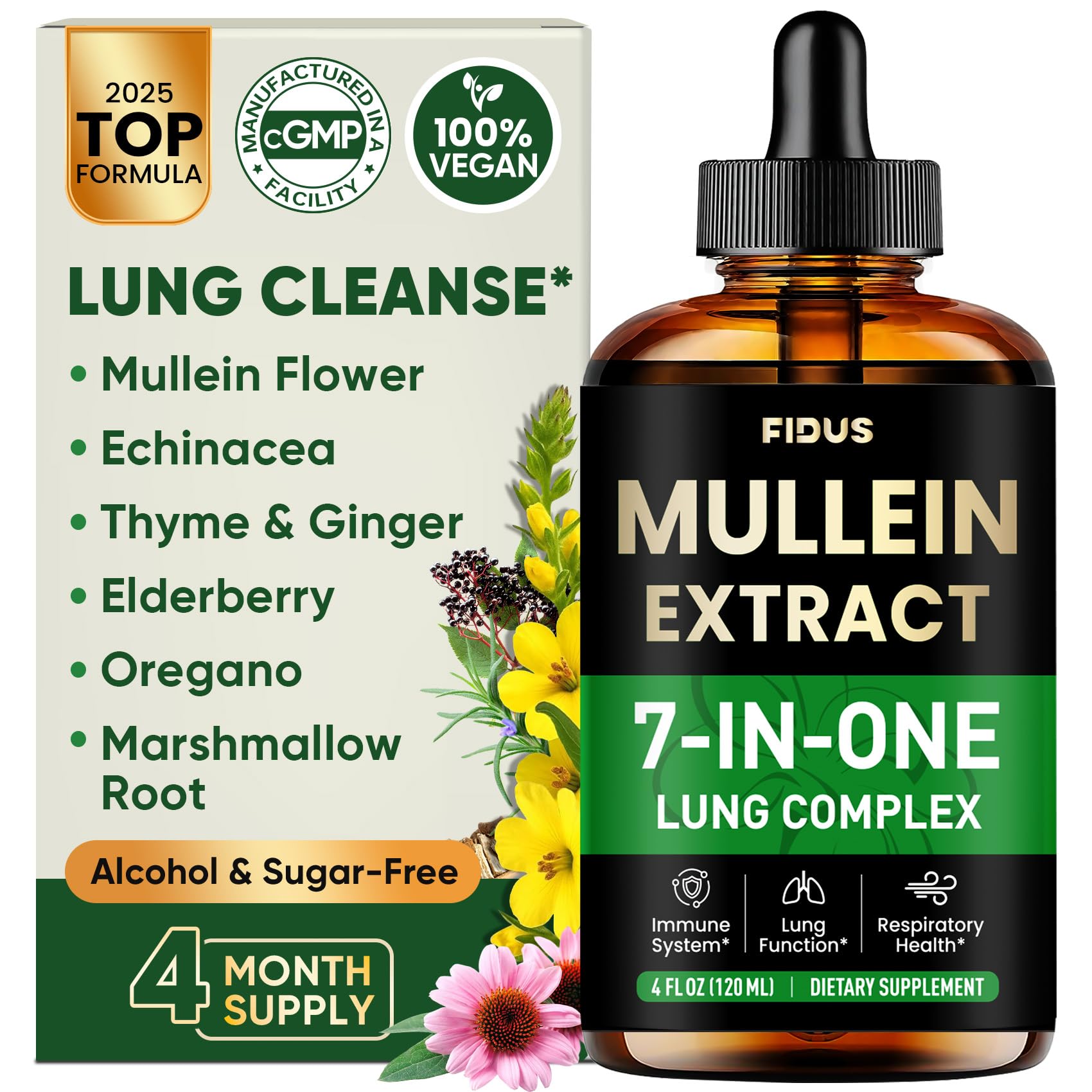 Fidus Mullein Drops for Lungs – Herbal Respiratory Support

