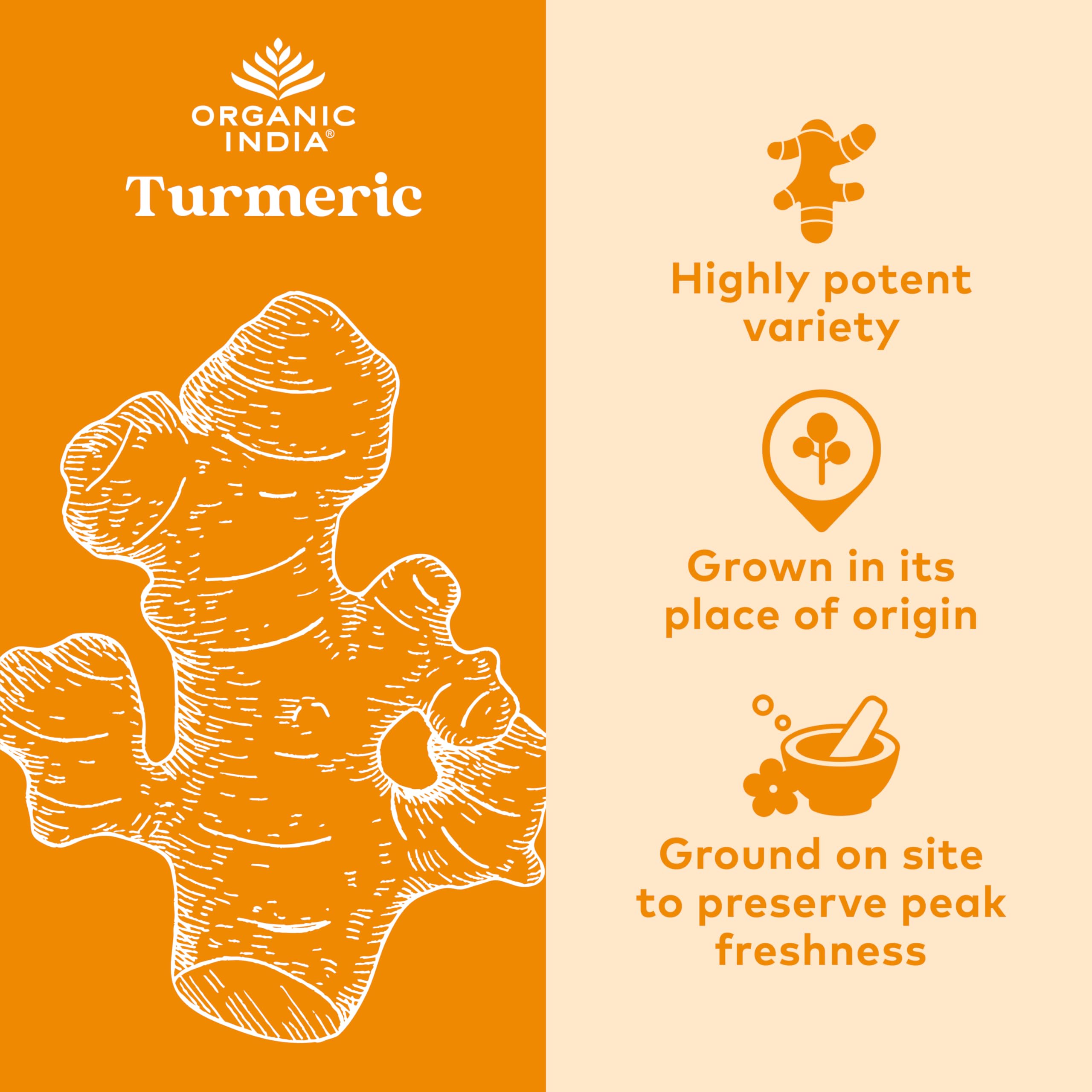ORGANIC INDIA Turmeric Curcumin for Joint Mobility

