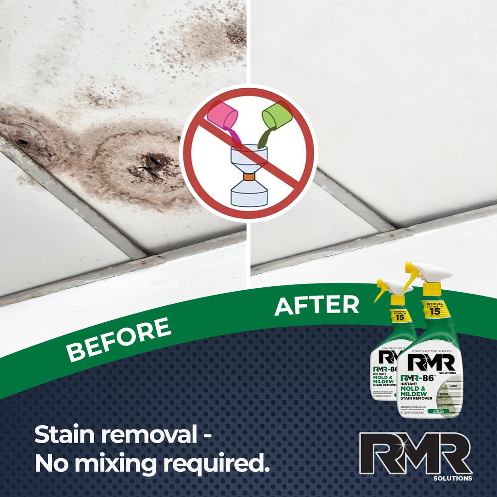 RMR-86 Instant Mold and Mildew Stain Remover Spray

