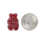 Digestive Advantage Kids Probiotic Gummies | Daily Digestive

