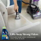 BISSELL Pet Stain & Odor Full Size Machine Formula

