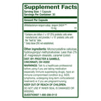 Align Pro Formula Probiotic for Digestive Health

