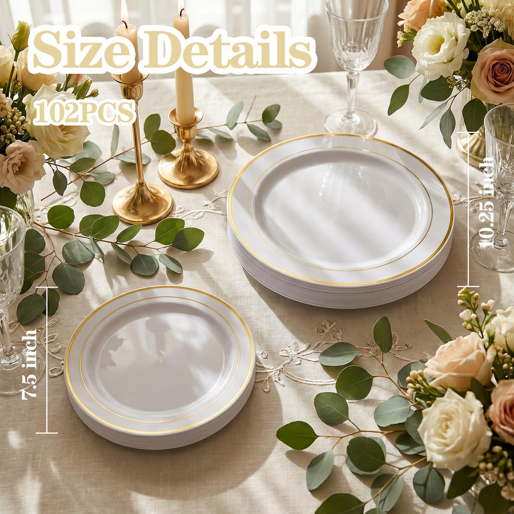 Disposable Plastic Plates with Rim for Parties

