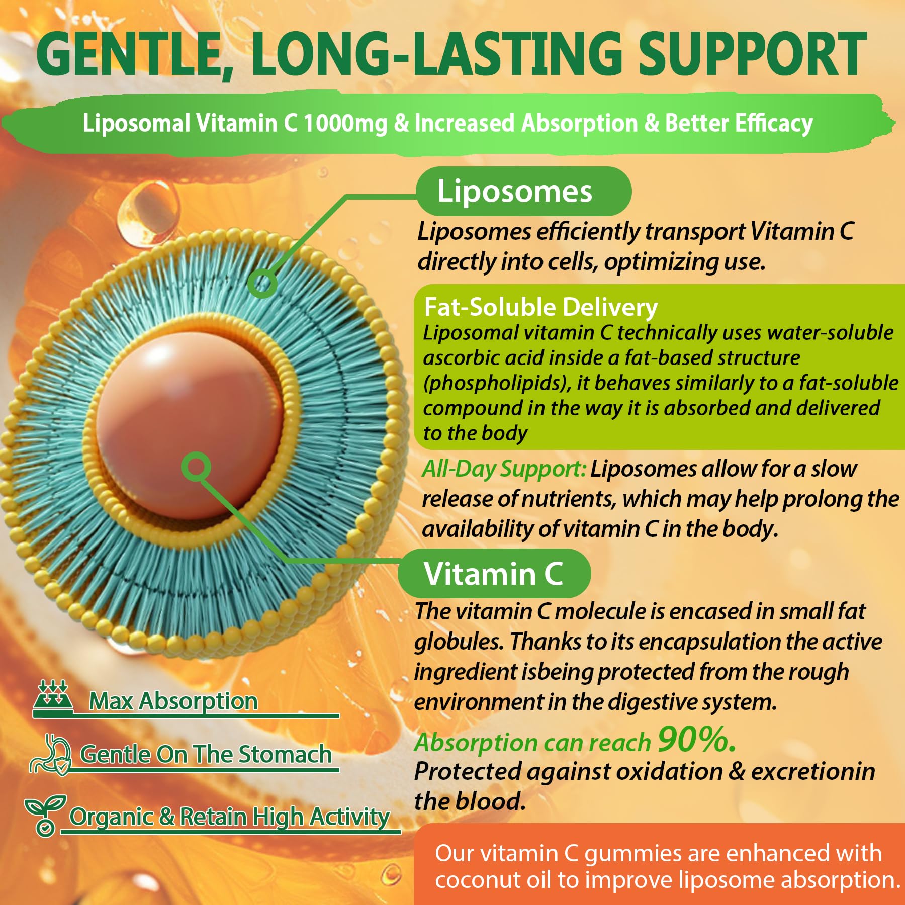 Liposomal Vitamin C Gummies for Immunity Support

