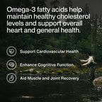 Momentous Omega-3 Fish Oil - Heart & Brain Support

