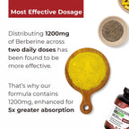 Nutreb Berberine Supplement


