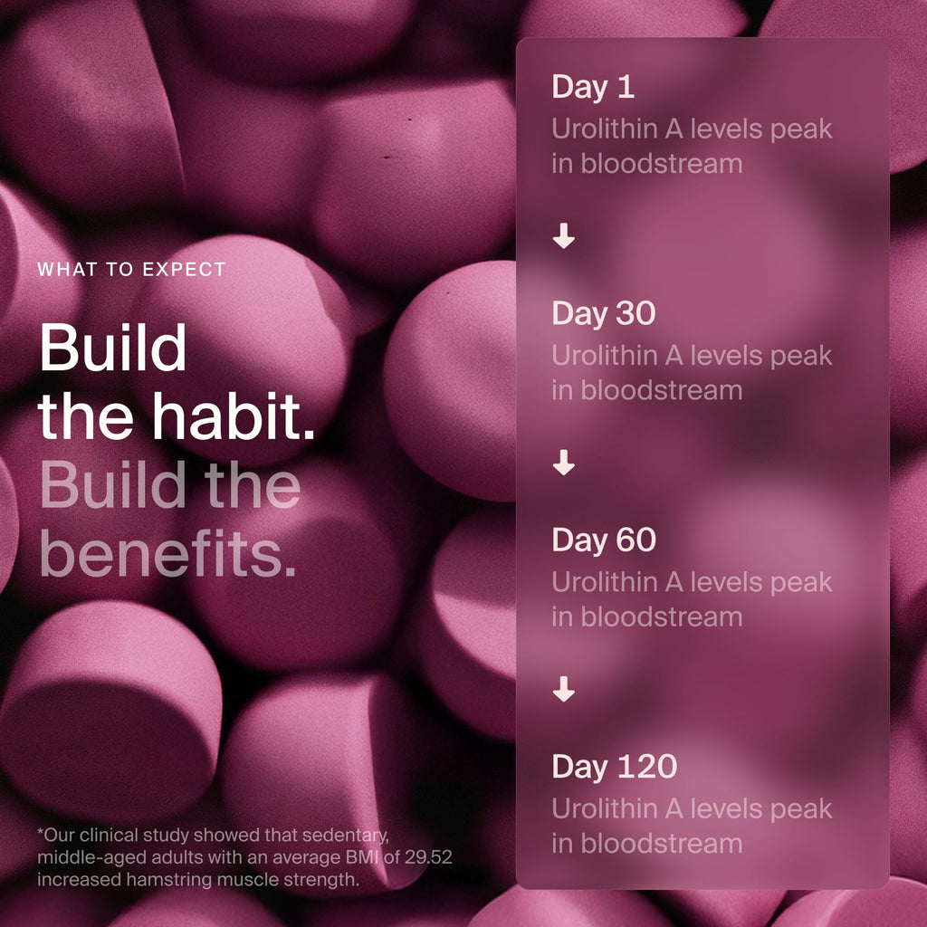 Timeline Mitopure Urolithin A Supplement | Cellular Health

