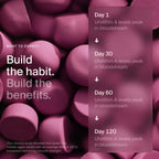 Timeline Mitopure Urolithin A Supplement | Cellular Health

