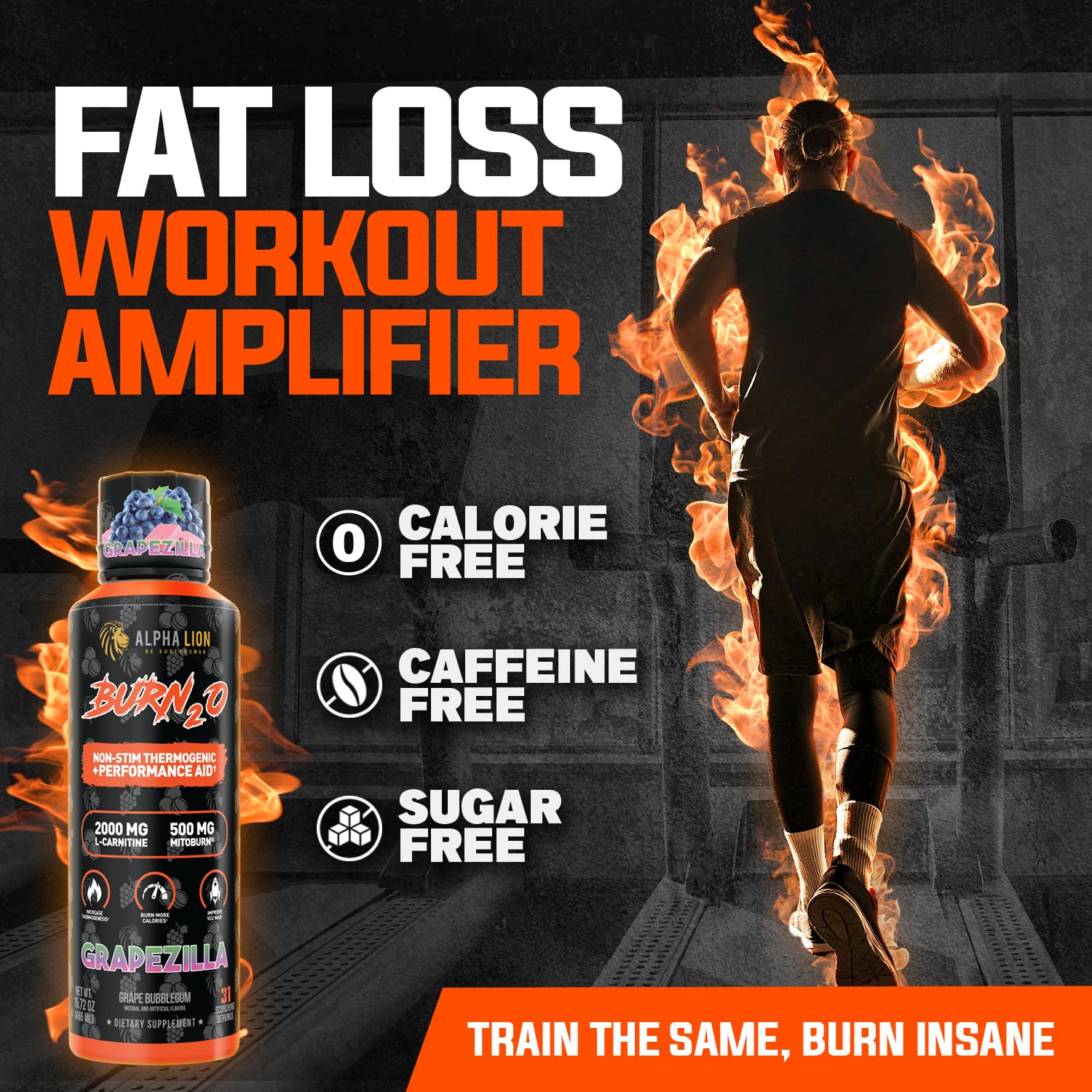 Alpha Lion L-Carnitine Liquid Burn2O 2000mg | Fat Burner

