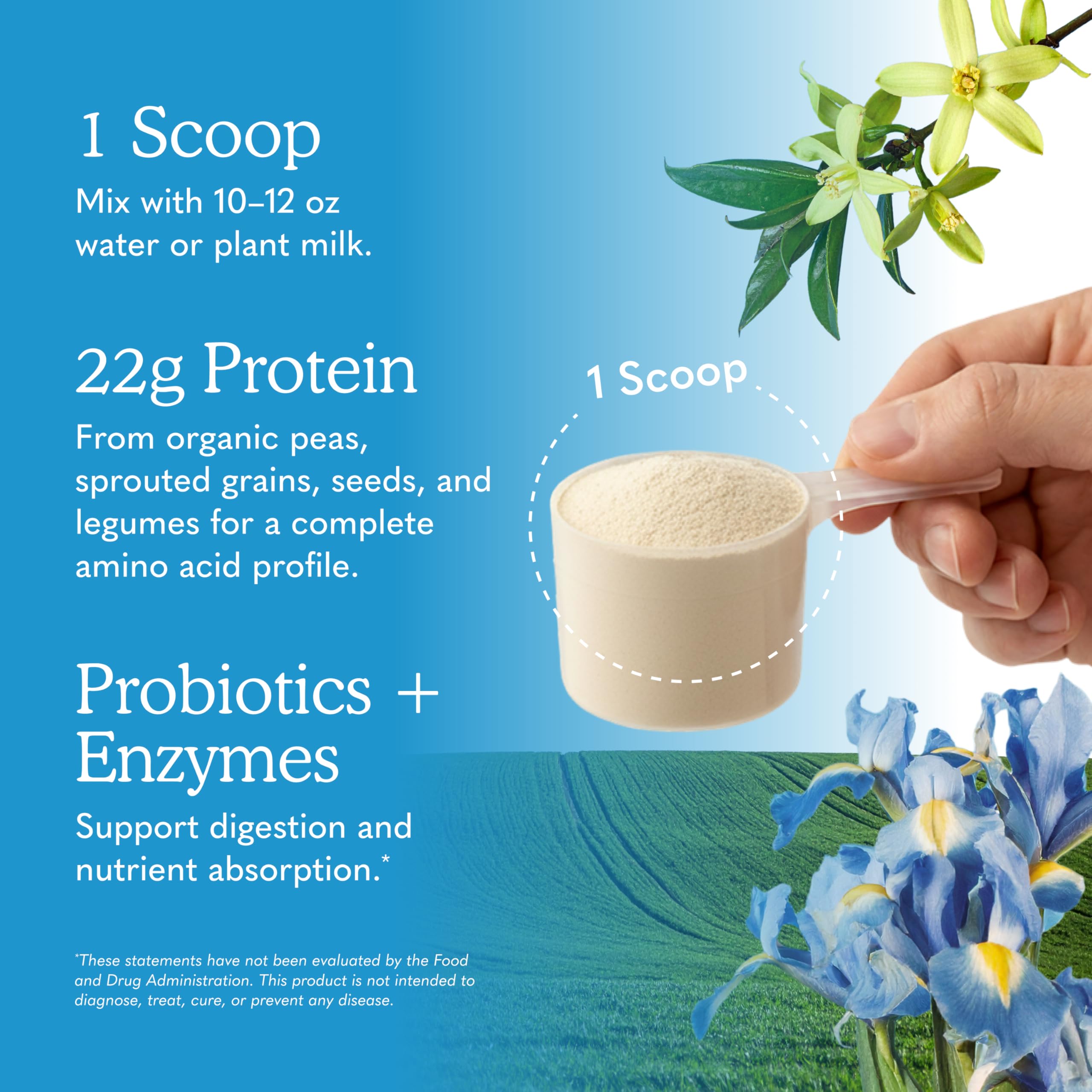 Garden of Life Vegan Protein Powder with Probiotics

