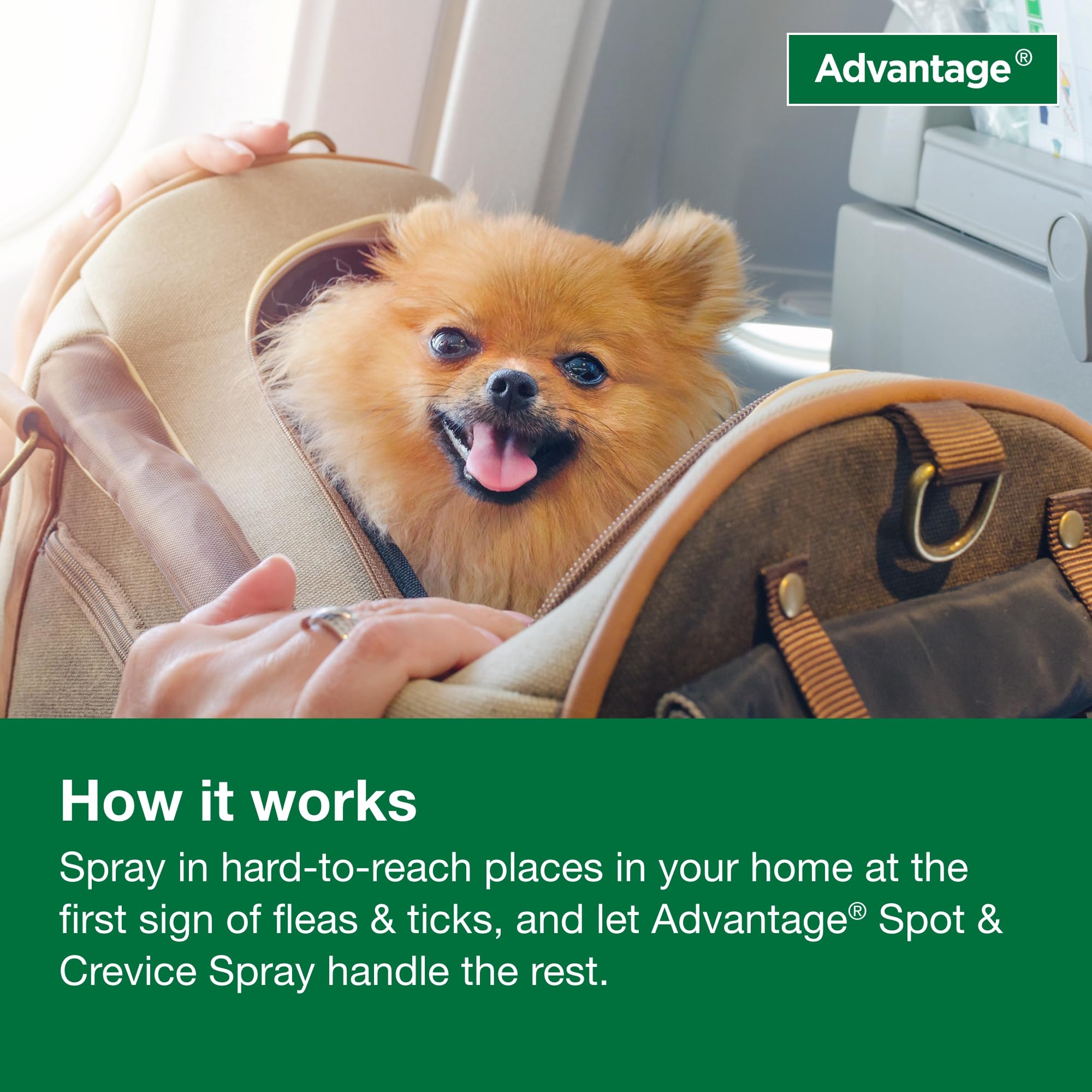 Advantage Spot & Crevice Spray Indoor Flea & Tick

