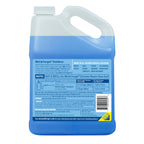 Wet & Forget Moss Mold Mildew Algae Stain Remover Concentrate


