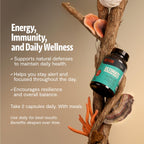 FreshCap Organic Mushroom Supplement - 12:1 Extract

